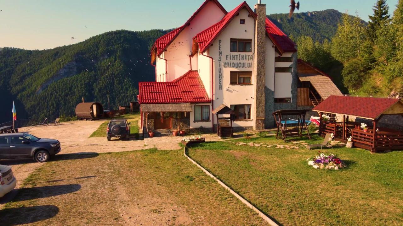 Pensiunea Fantanita Haiducului * Ciungetu